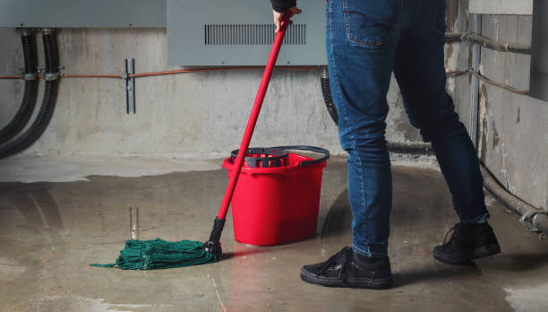 Best 24/7 water damage repair  in Bessemer, AL