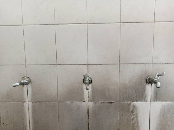  Bessemer, AL Water damage restoration Pros