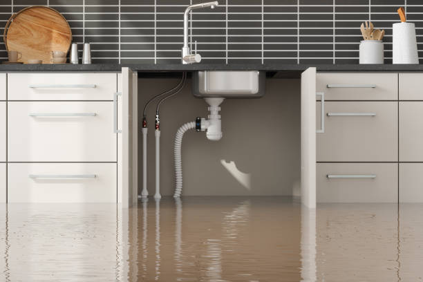Best Flood damage cleanup  in Bessemer, AL