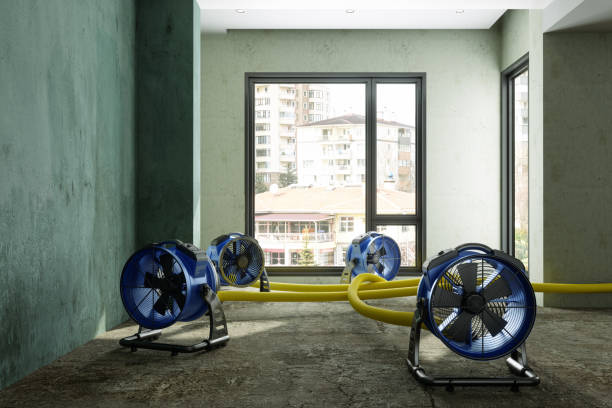 Best Emergency water damage restoration  in Bessemer, AL